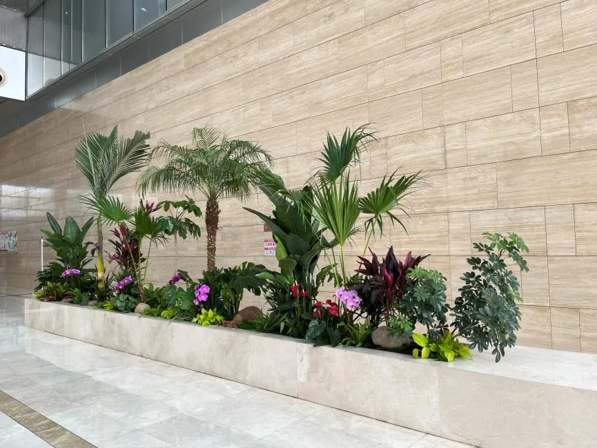 专业北仑植物租摆，为您的环境增添别样生机